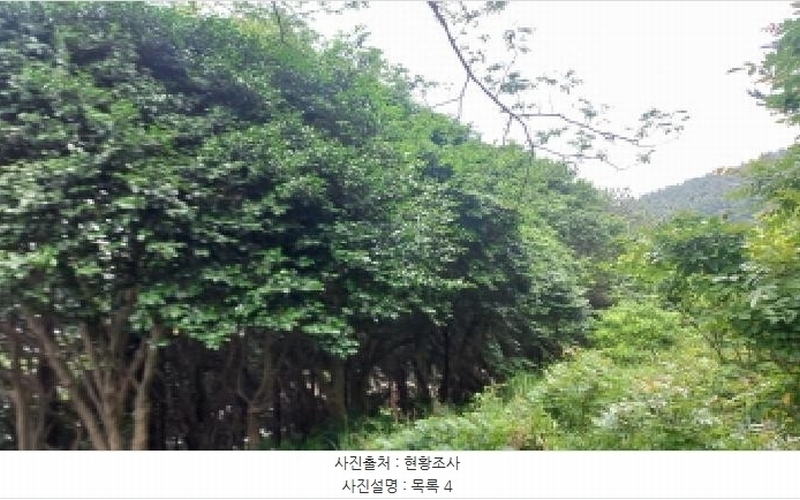 2025타경480 경상남도 거제시 남부면 갈곶리 218 임야 경매 이미지