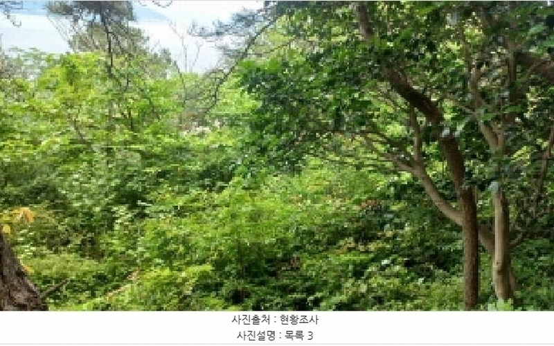 2025타경480 경상남도 거제시 남부면 갈곶리 218 임야 경매 이미지