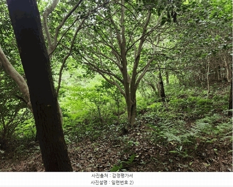 2025타경480 경상남도 거제시 남부면 갈곶리 218 임야 경매 이미지