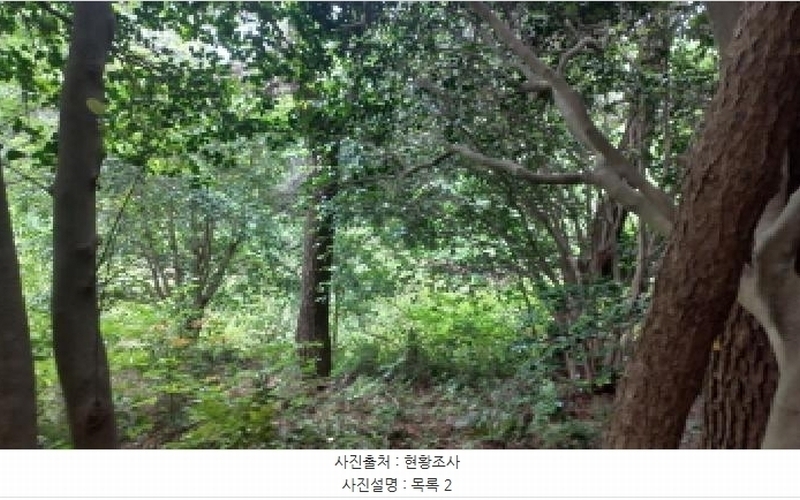 2025타경480 경상남도 거제시 남부면 갈곶리 218 임야 경매 이미지