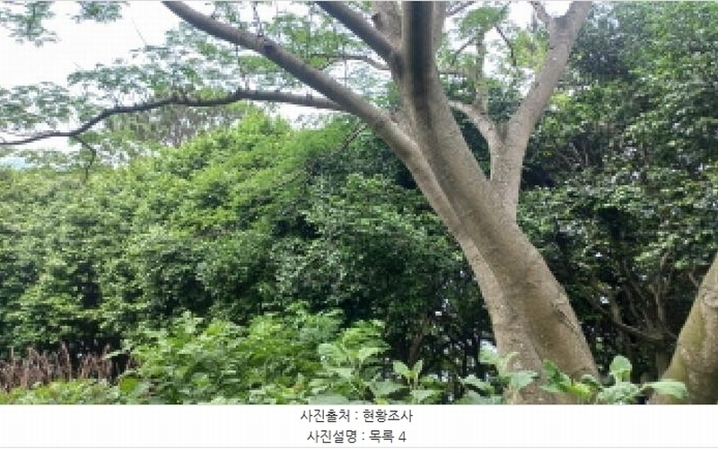 2025타경480 경상남도 거제시 남부면 갈곶리 218 임야 경매 이미지