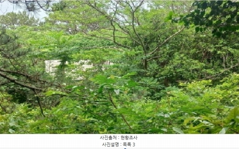 2025타경480 경상남도 거제시 남부면 갈곶리 218 임야 경매 이미지