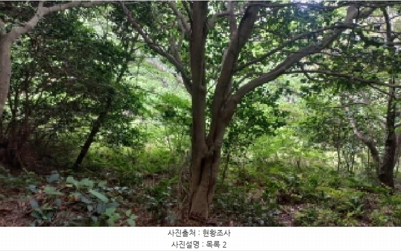 2025타경480 경상남도 거제시 남부면 갈곶리 218 임야 경매 이미지
