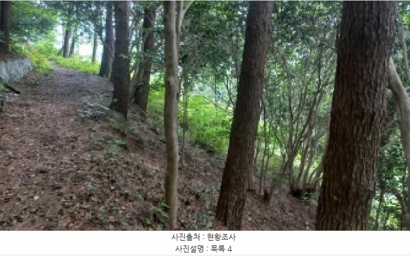 2025타경480 경상남도 거제시 남부면 갈곶리 218 임야 경매 이미지