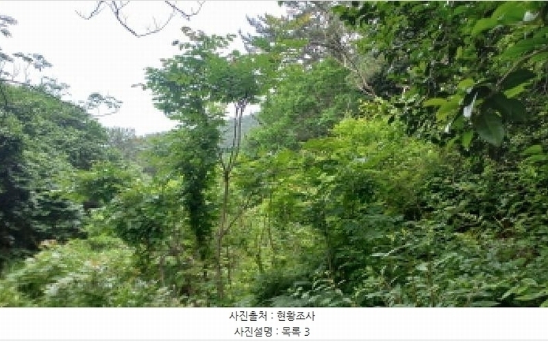 2025타경480 경상남도 거제시 남부면 갈곶리 218 임야 경매 이미지
