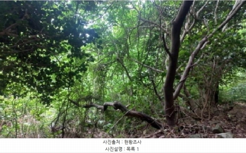 2025타경480 경상남도 거제시 남부면 갈곶리 218 임야 경매 이미지