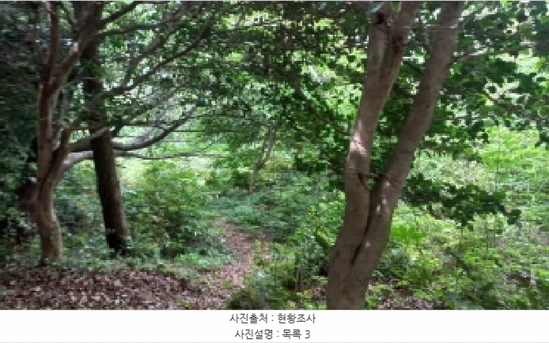 2025타경480 경상남도 거제시 남부면 갈곶리 218 임야 경매 이미지