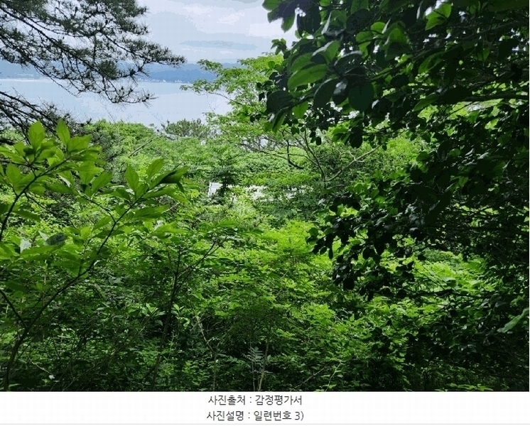 2025타경480 경상남도 거제시 남부면 갈곶리 218 임야 경매 이미지