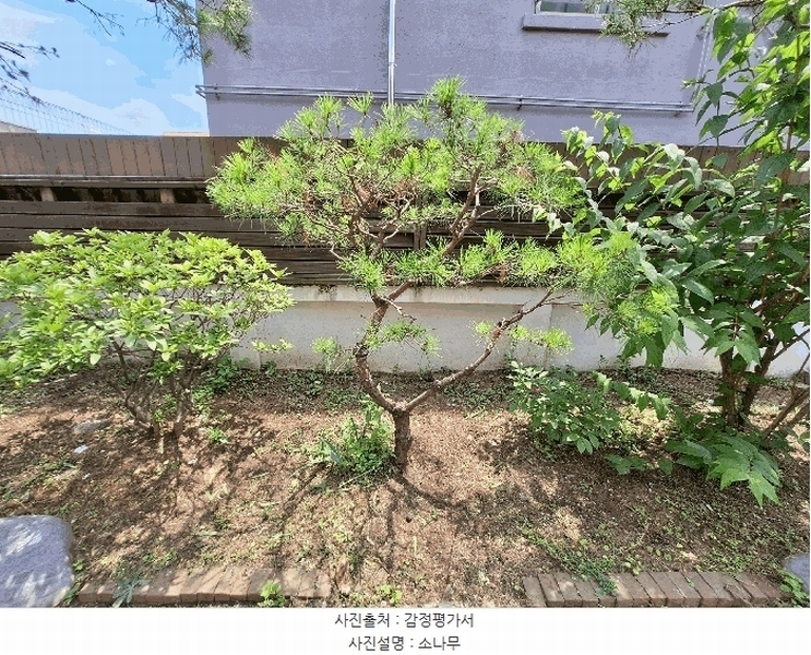 2025타경763 강원특별자치도 원주시 일산동 287-13 주택 경매 이미지