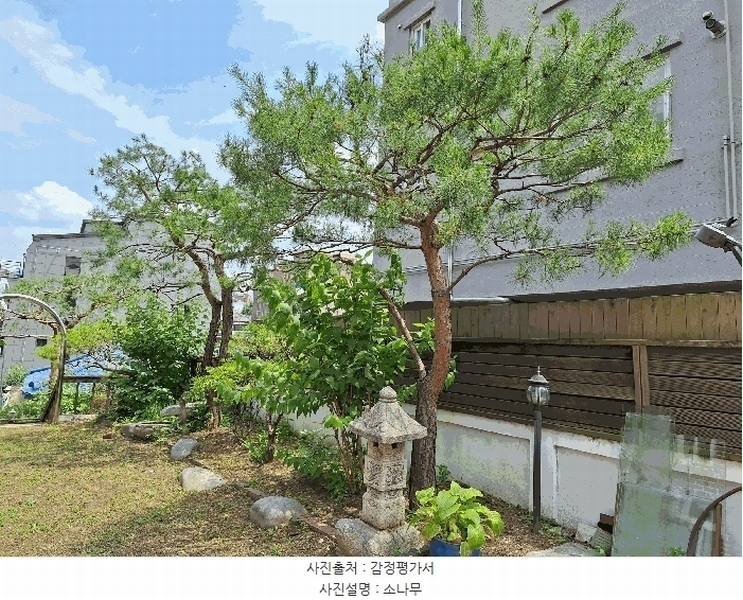 2025타경763 강원특별자치도 원주시 일산동 287-13 주택 경매 이미지
