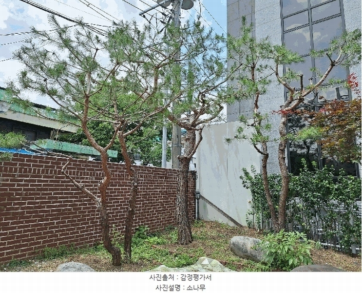 2025타경763 강원특별자치도 원주시 일산동 287-13 주택 경매 이미지