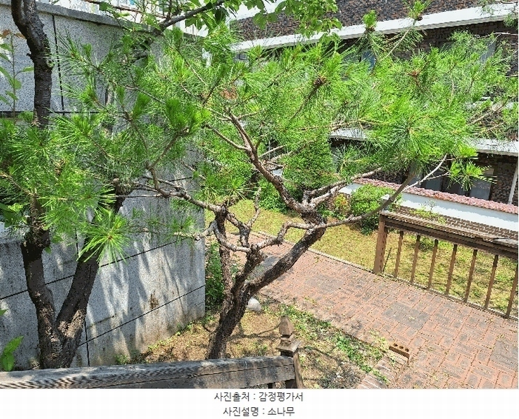 2025타경763 강원특별자치도 원주시 일산동 287-13 주택 경매 이미지