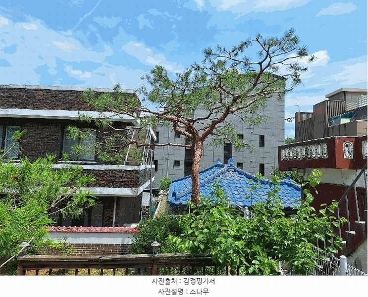 2025타경763 강원특별자치도 원주시 일산동 287-13 주택 경매 이미지