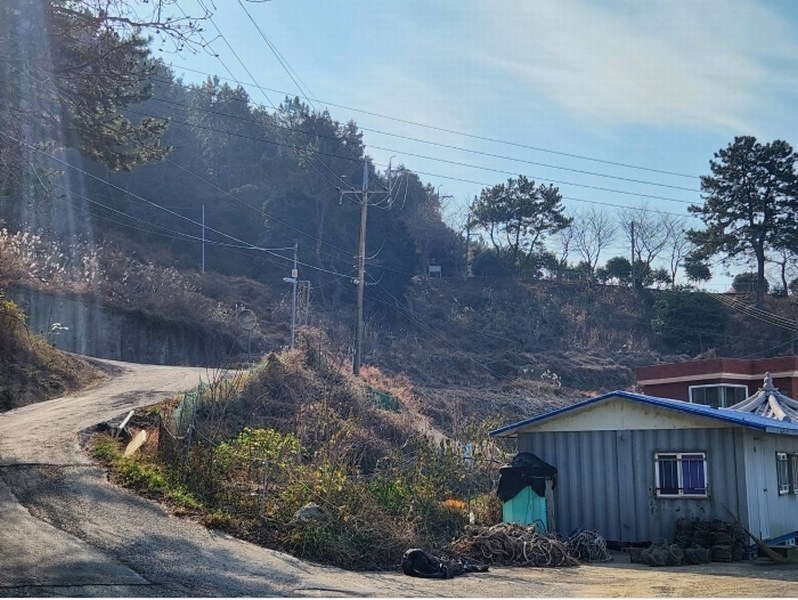 2025타경20088 경상남도 거제시 동부면 가배리 871-2 농지 경매 이미지
