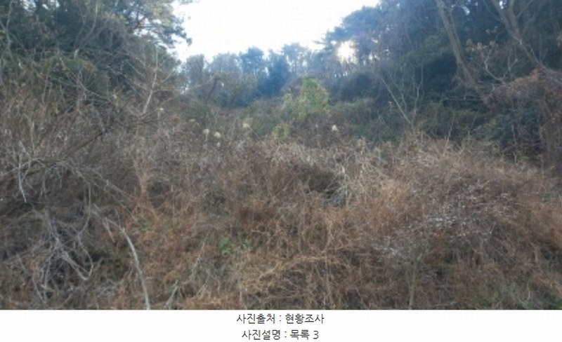 2025타경20088 경상남도 거제시 동부면 가배리 871-2 농지 경매 이미지