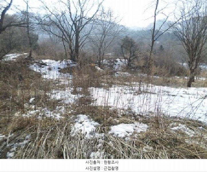 2025타경20465 강원특별자치도 원주시 흥업면 매지리 1822 대지 경매 이미지