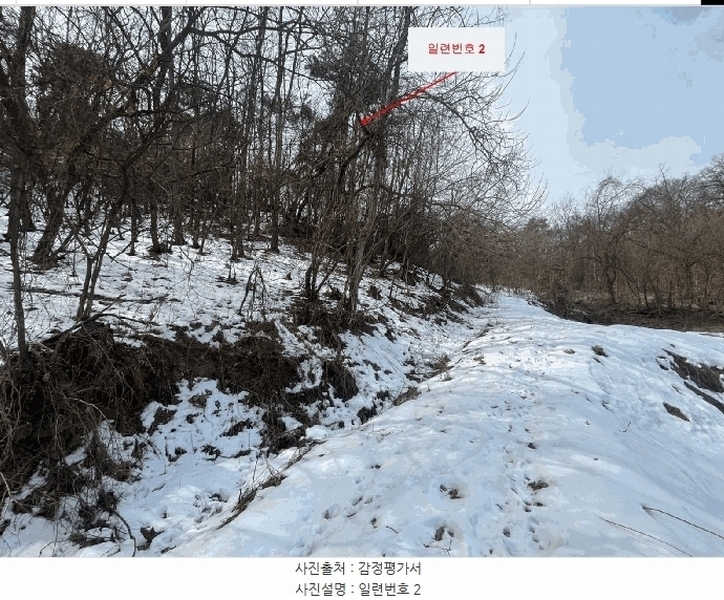 2025타경20468 강원특별자치도 원주시 지정면 신평리 327-28 임야 경매 이미지