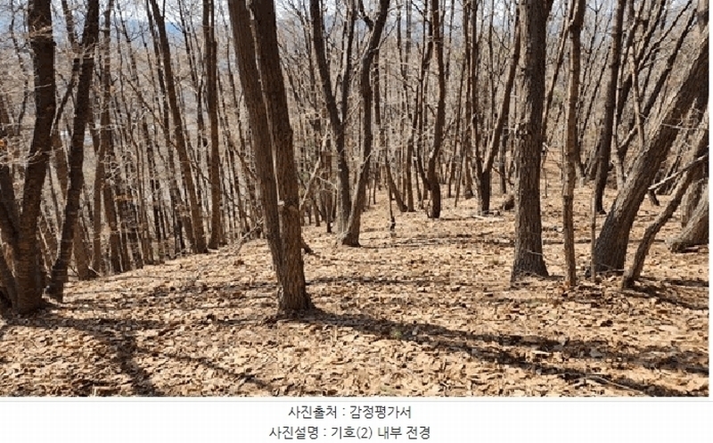 2025타경20494 강원특별자치도 횡성군 우천면 하궁리 산142 임야 경매 이미지