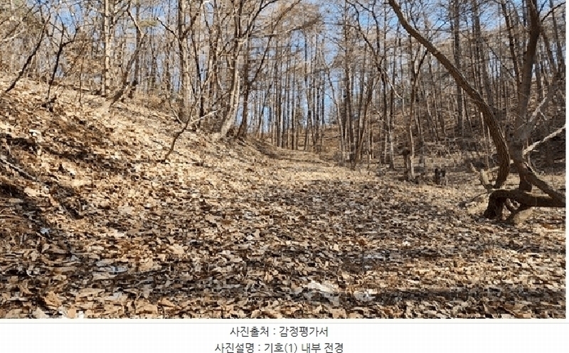 2025타경20494 강원특별자치도 횡성군 우천면 하궁리 산142 임야 경매 이미지