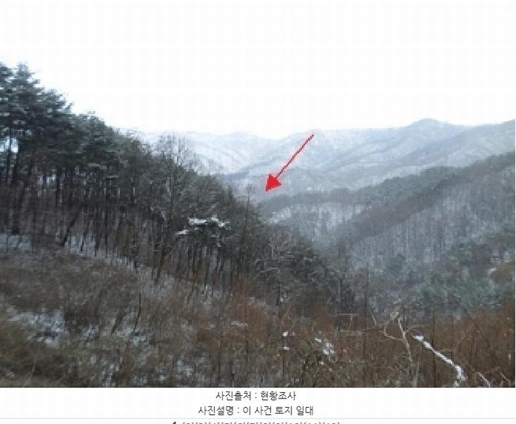 2025타경20515 강원특별자치도 횡성군 강림면 월현리 산647 임야 경매 이미지