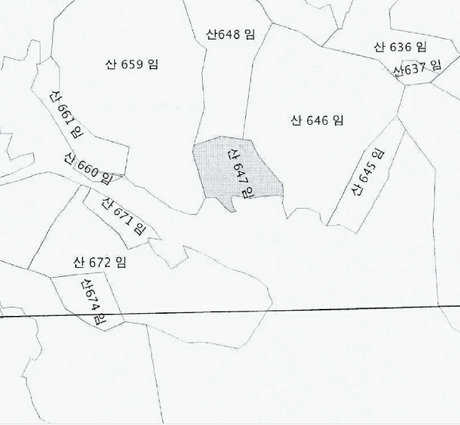 2025타경20515 강원특별자치도 횡성군 강림면 월현리 산647 임야 경매 이미지