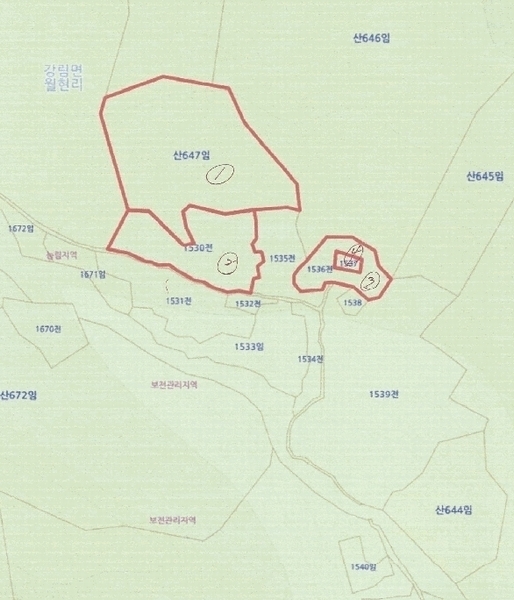 2025타경20515 강원특별자치도 횡성군 강림면 월현리 산647 임야 경매 이미지