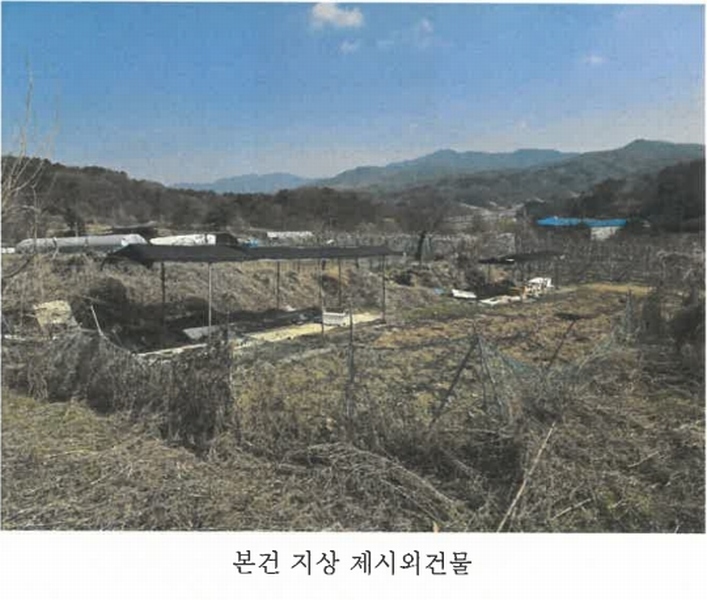 2025타경20519 강원특별자치도 원주시 문막읍 비두리 1547 농지 경매 이미지