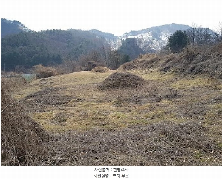 2025타경20519 강원특별자치도 원주시 문막읍 비두리 1547 농지 경매 이미지
