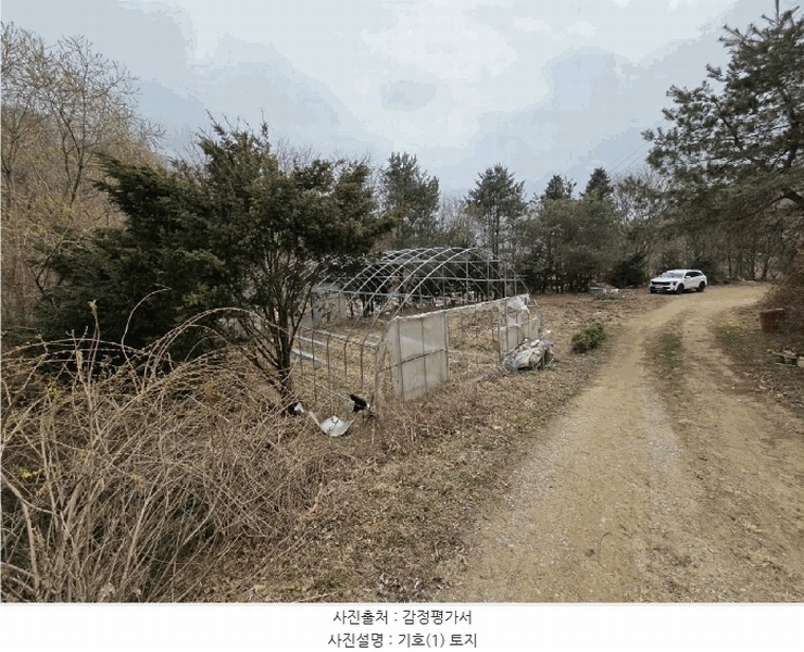 2025타경20522 강원특별자치도 원주시 지정면 신평리 905-2 주택 경매 이미지