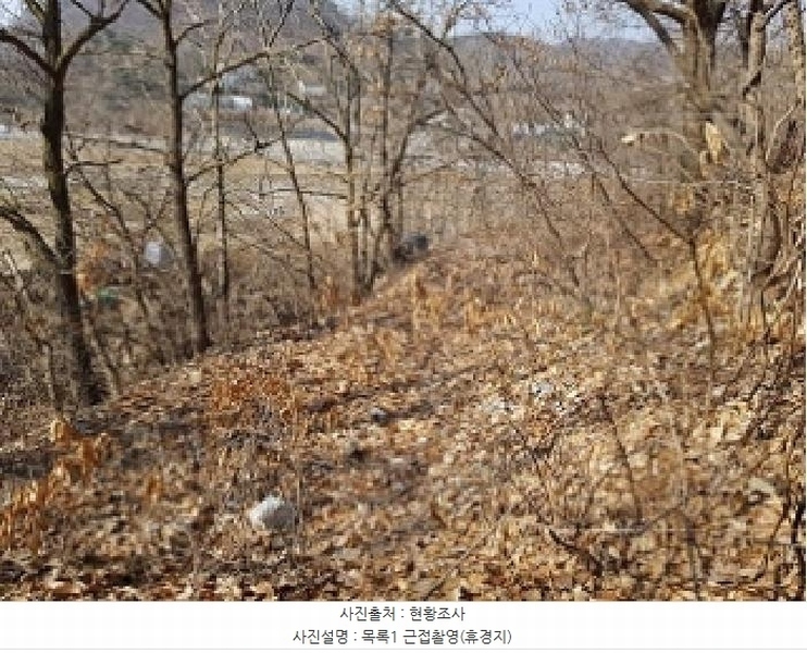 2025타경20522 강원특별자치도 원주시 지정면 신평리 905-2 주택 경매 이미지