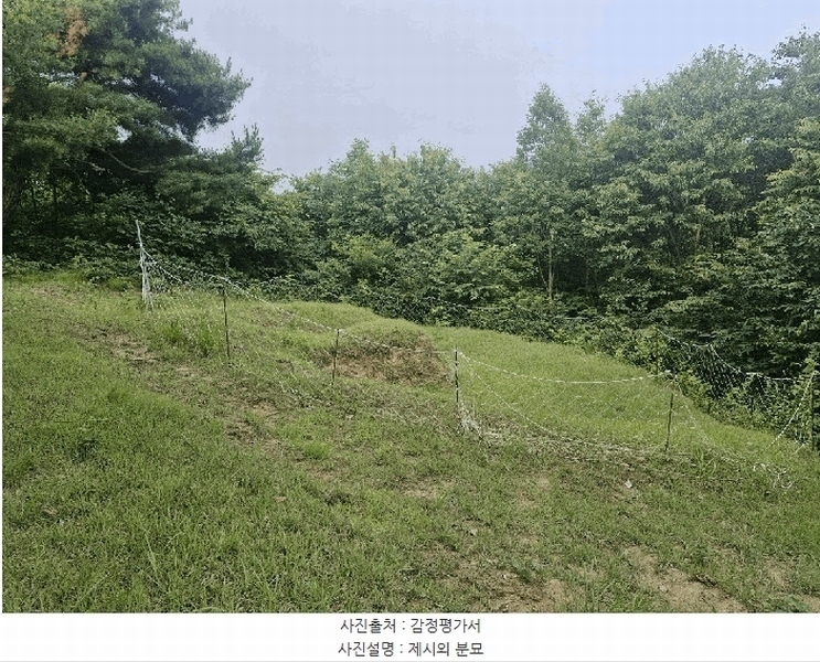 2025타경20539 강원특별자치도 원주시 흥업면 대안리 산321-2 임야 경매 이미지