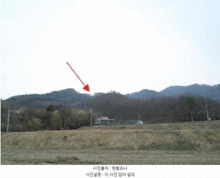 2025타경20539 강원특별자치도 원주시 흥업면 대안리 산321-2 임야 경매 이미지