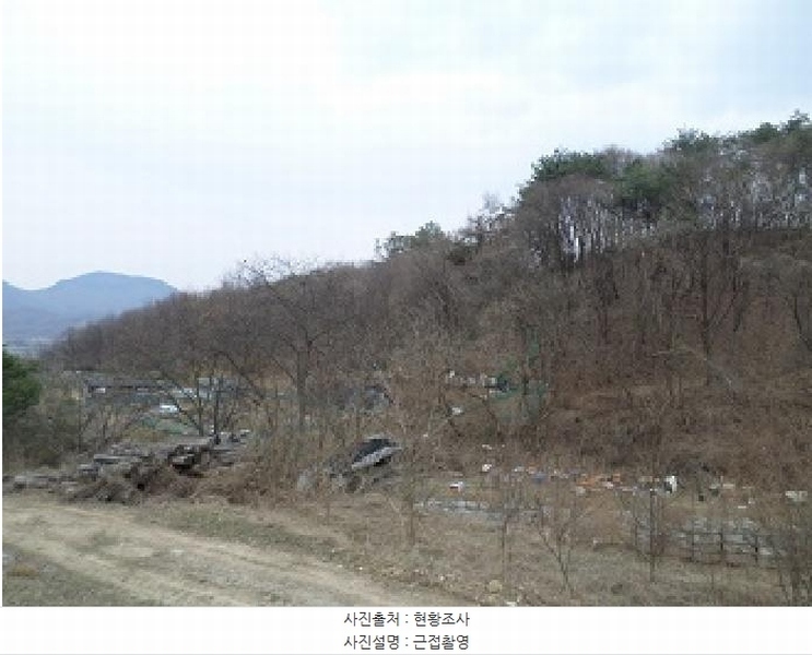 2025타경20539 강원특별자치도 원주시 흥업면 대안리 산321-2 임야 경매 이미지