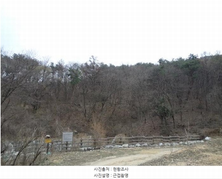 2025타경20539 강원특별자치도 원주시 흥업면 대안리 산321-2 임야 경매 이미지