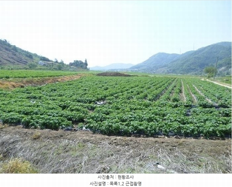2025타경20613 강원특별자치도 원주시 부론면 정산리 1481 농지 경매 이미지