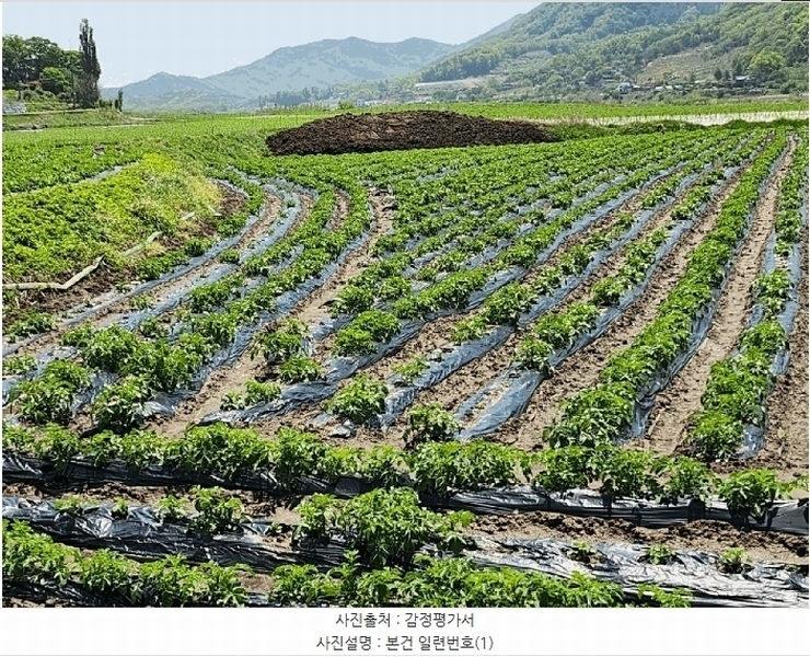 2025타경20613 강원특별자치도 원주시 부론면 정산리 1481 농지 경매 이미지