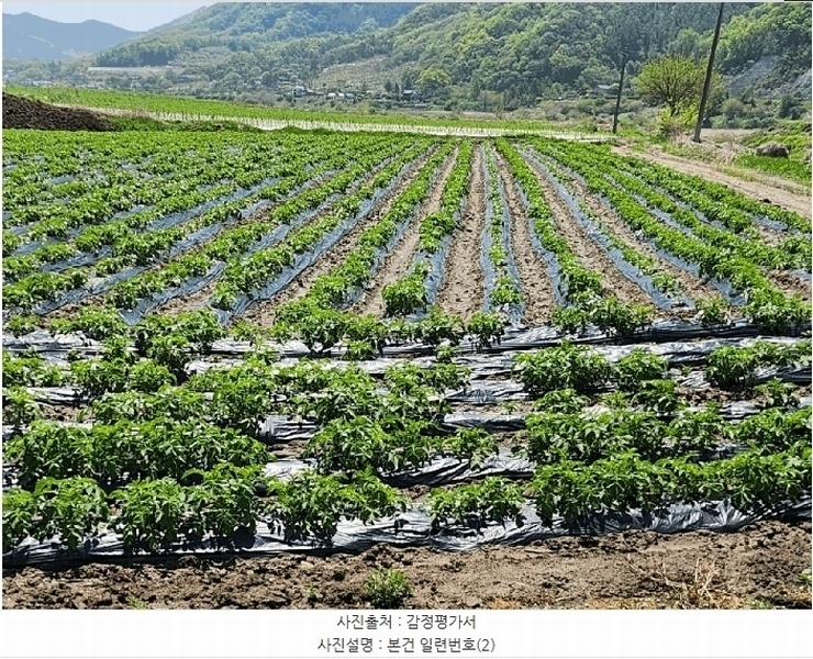 2025타경20613 강원특별자치도 원주시 부론면 정산리 1481 농지 경매 이미지