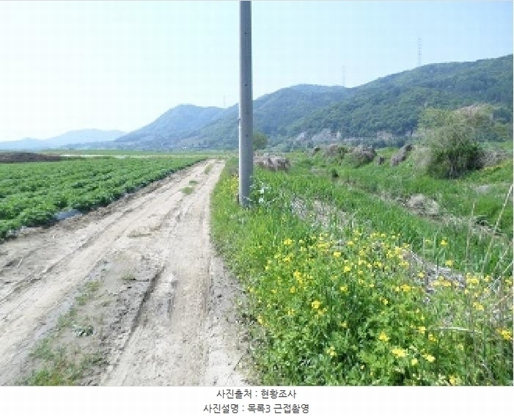 2025타경20613 강원특별자치도 원주시 부론면 정산리 1481 농지 경매 이미지