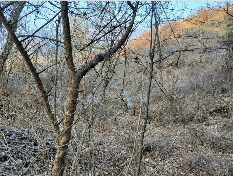 2023타경2758 강원특별자치도 원주시 부론면 정산리 936 농지 경매 이미지