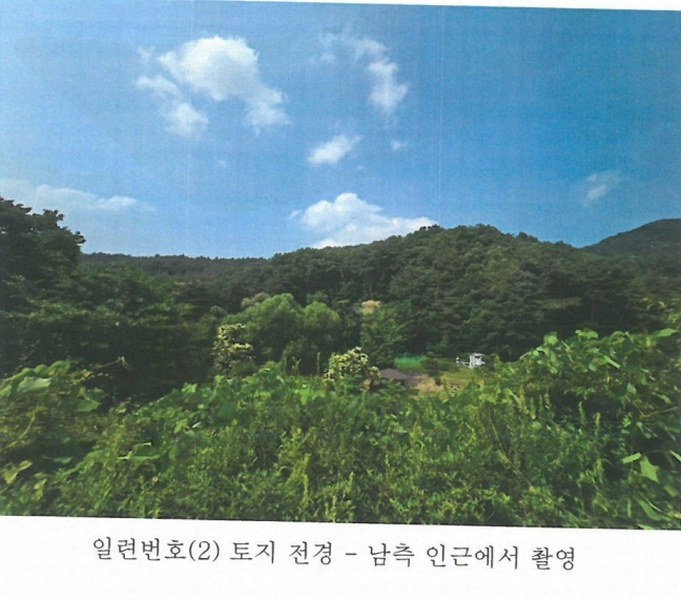 2024타경1523 강원특별자치도 원주시 판부면 서곡리 산156 임야 경매 이미지