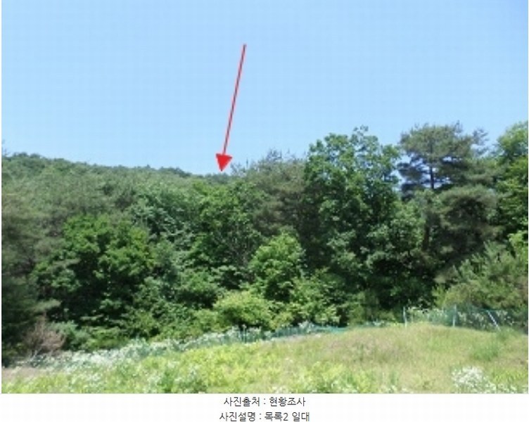 2024타경1523 강원특별자치도 원주시 판부면 서곡리 산156 임야 경매 이미지