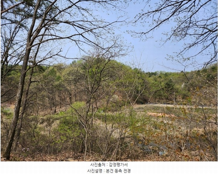 2024타경401802 강원특별자치도 원주시 봉산동 261-12 임야 경매 이미지