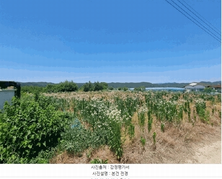 2025타경770 경상북도 영천시 임고면 평천리 189-1 농지 경매 이미지