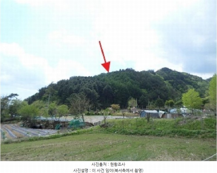 2025타경20488 강원특별자치도 원주시 신림면 송계리 산22-1 임야 경매 이미지