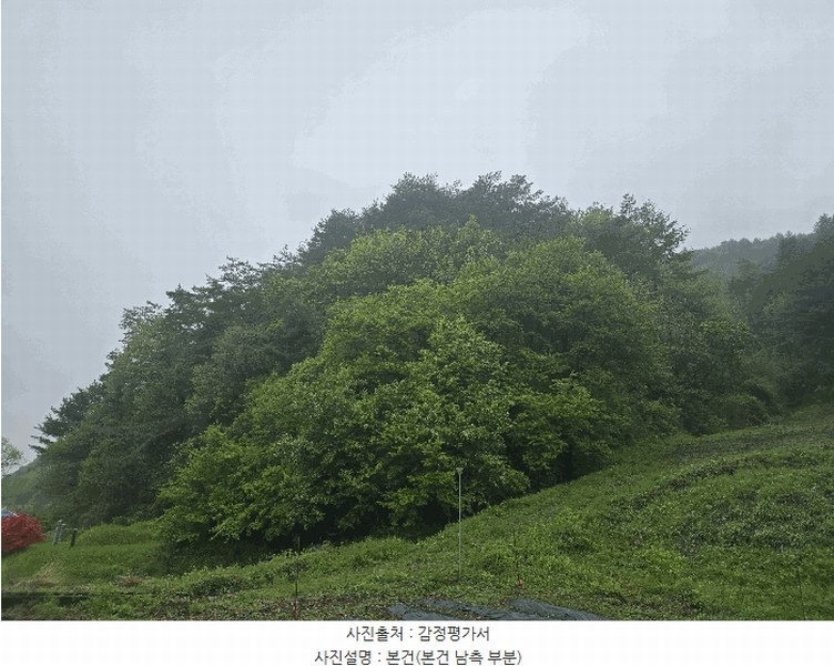 2025타경20488 강원특별자치도 원주시 신림면 송계리 산22-1 임야 경매 이미지