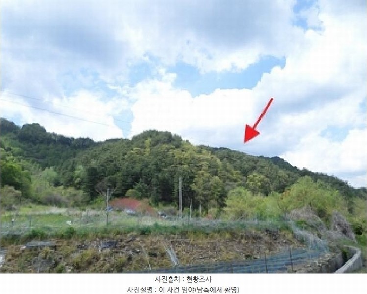 2025타경20488 강원특별자치도 원주시 신림면 송계리 산22-1 임야 경매 이미지