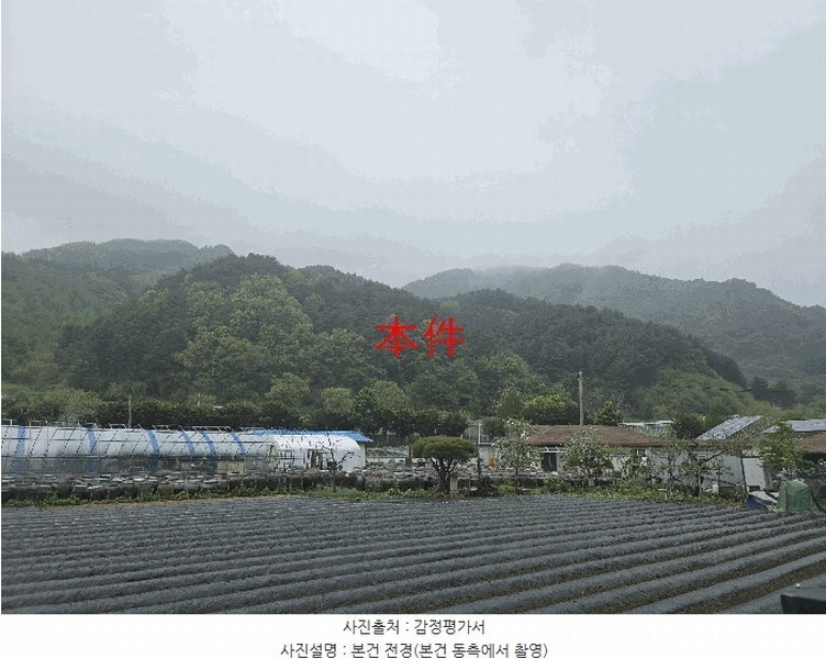 2025타경20488 강원특별자치도 원주시 신림면 송계리 산22-1 임야 경매 이미지