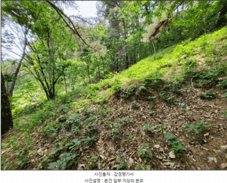 2025타경20642 강원특별자치도 원주시 문막읍 궁촌리 산94 임야 경매 이미지