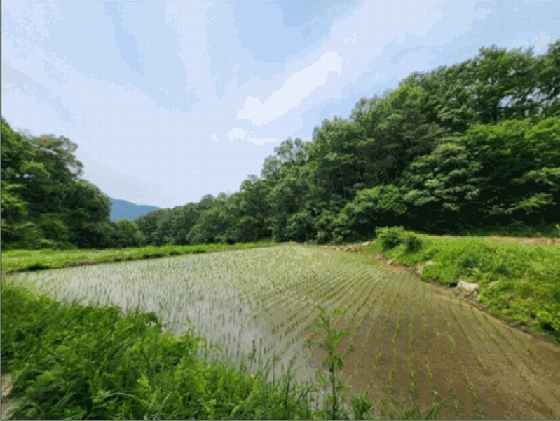 2025타경20642 강원특별자치도 원주시 문막읍 궁촌리 산94 임야 경매 이미지