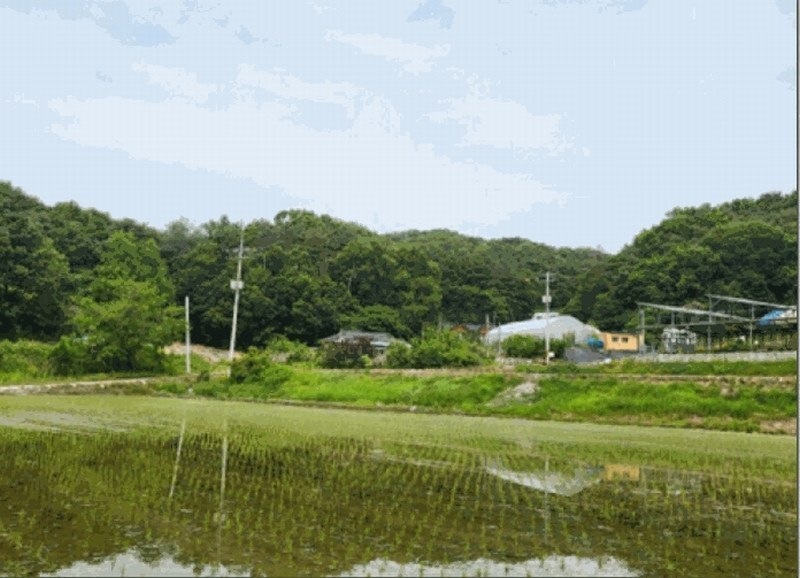2025타경20642 강원특별자치도 원주시 문막읍 궁촌리 산94 임야 경매 이미지